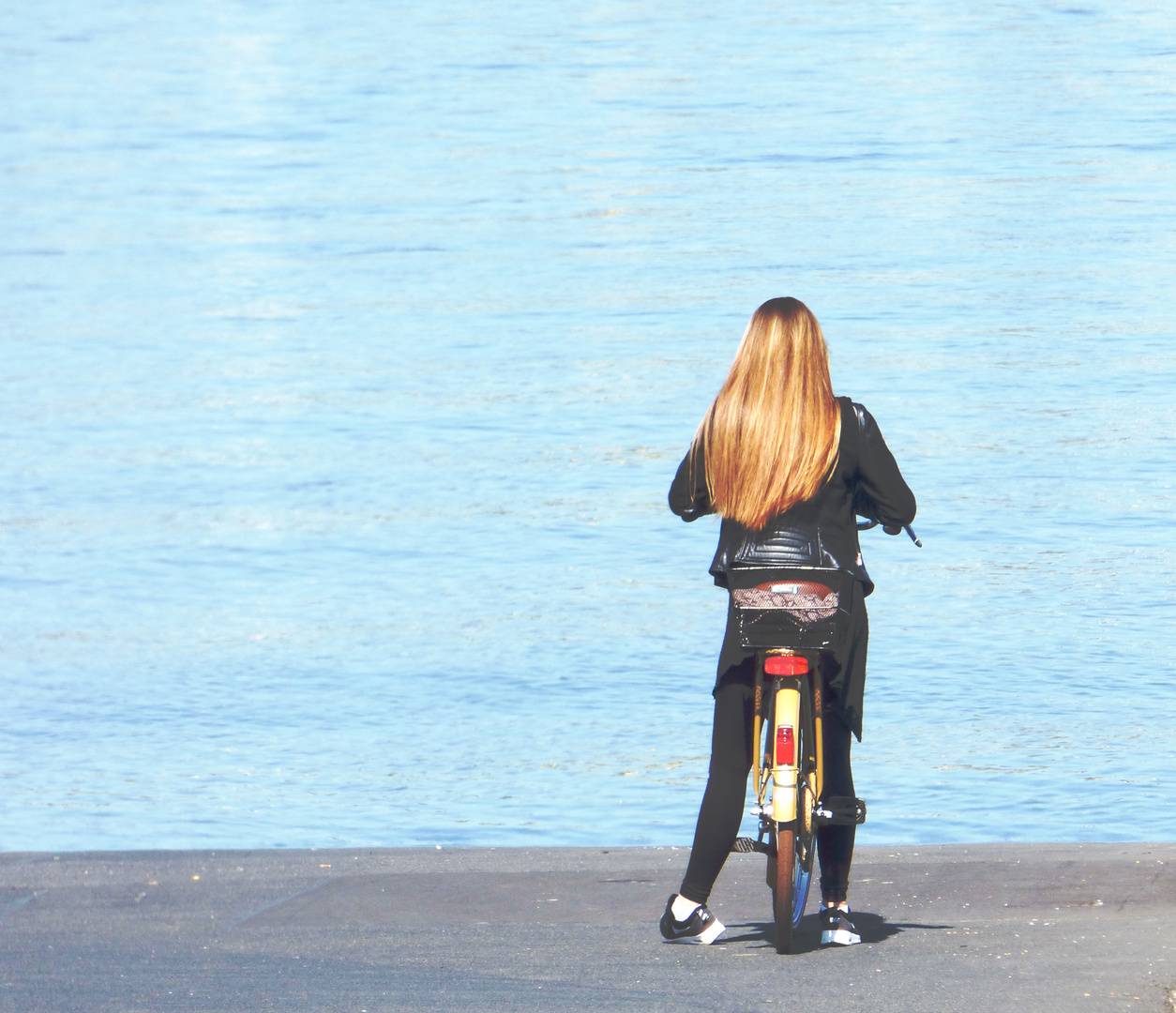 Bikerin am Rhein color