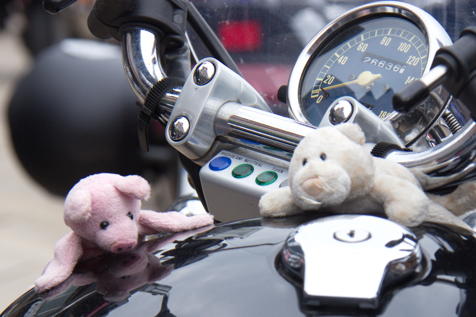 Bikerschwein 002