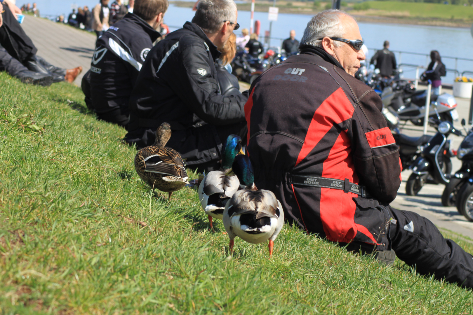 Bikertreffen.