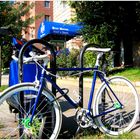 Bikes and Bier Baron - A 'Hoppy' Study in Blue and White