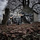 Bikes im Herbst