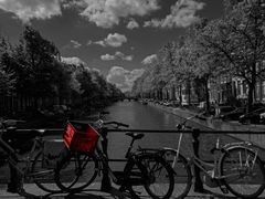 Bikes in Amsterdam