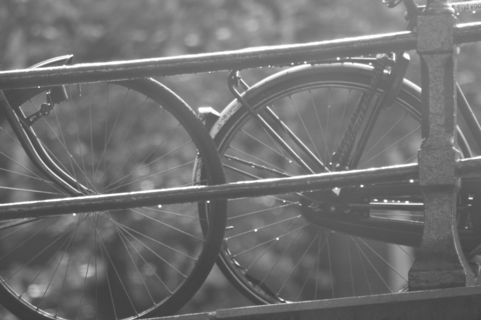 Bikes in amsterdam.