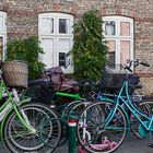 Bikes in Copenhagen