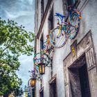 bikes on the wall