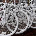 Bikes with snow