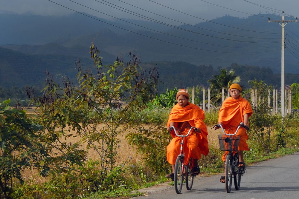 Biking along the main road