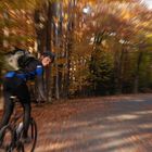 Biking in Bar Harbor