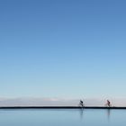 Biking in the sky