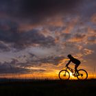 Biking in the sunset