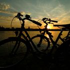 biking the sunset