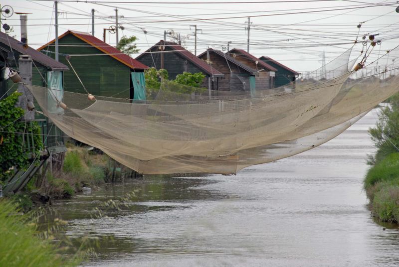 Bilance da pesca