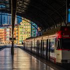 Bilbao. Estacion Abando. View into the light.