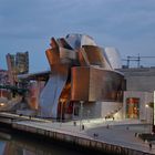 Bilbao Gehry Museum