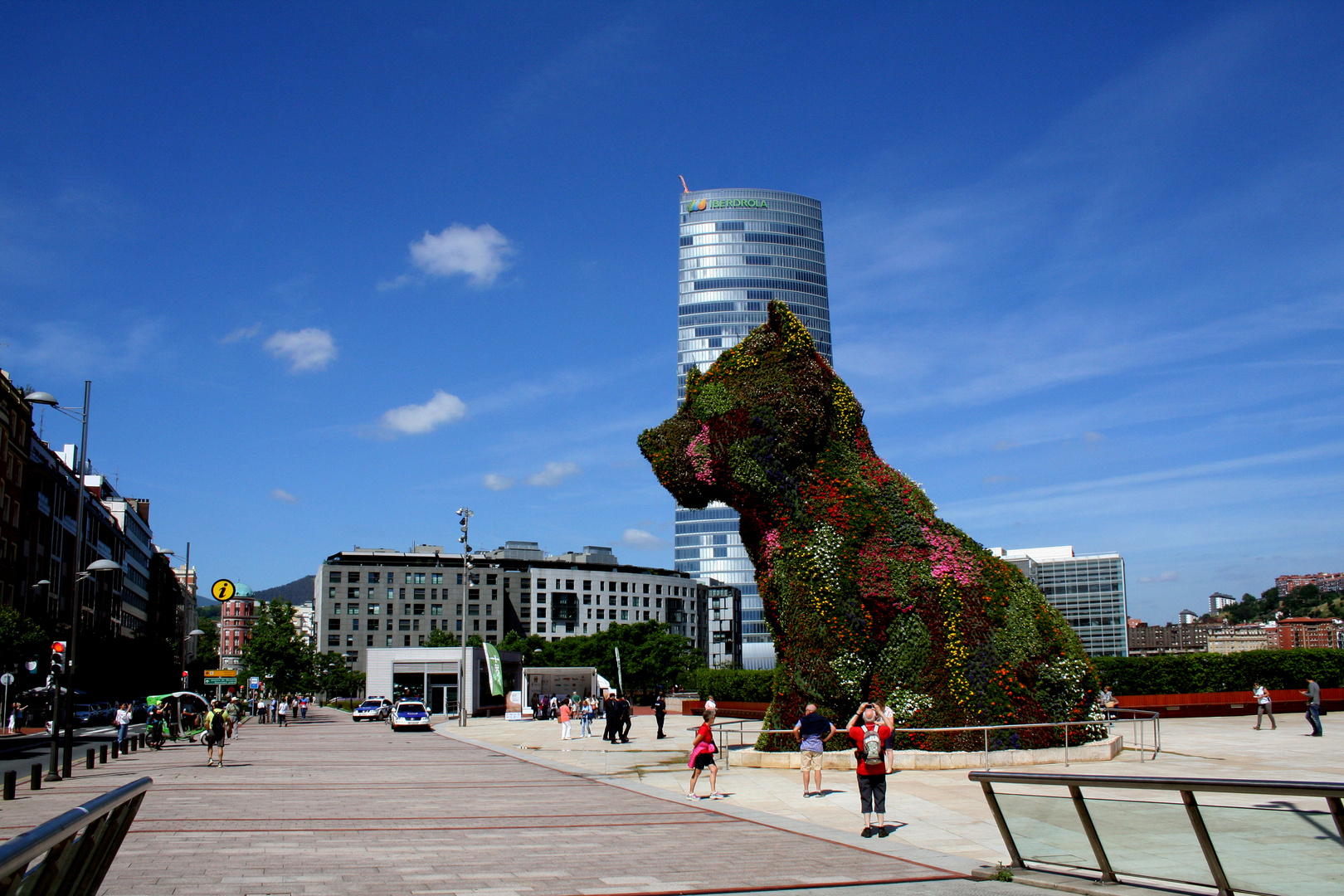 Bilbao - Puppy - 2017