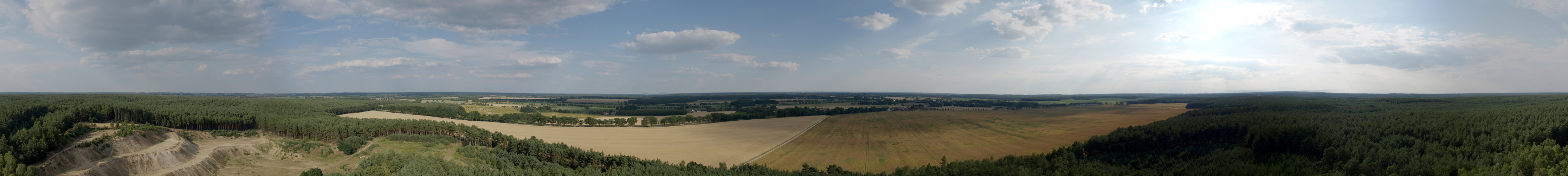 Bilck über die Bäume hinaus