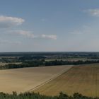 Bilck über die Bäume hinaus