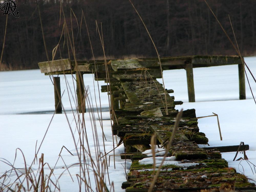 Bild 011: Waren (Müritz): Winter in Mecklenburg.