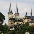 Bild 017: Bamberg: Michelsberg und Rosengarten.