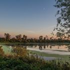 Bild-5Sonnenuntergang am Naturschutzgebiet Oberhausen-2