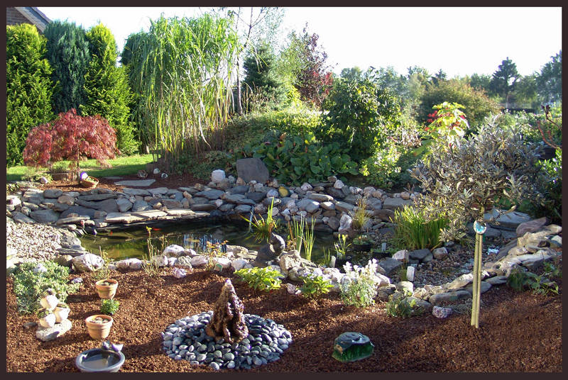 Bild aus unserem Garten September 2006