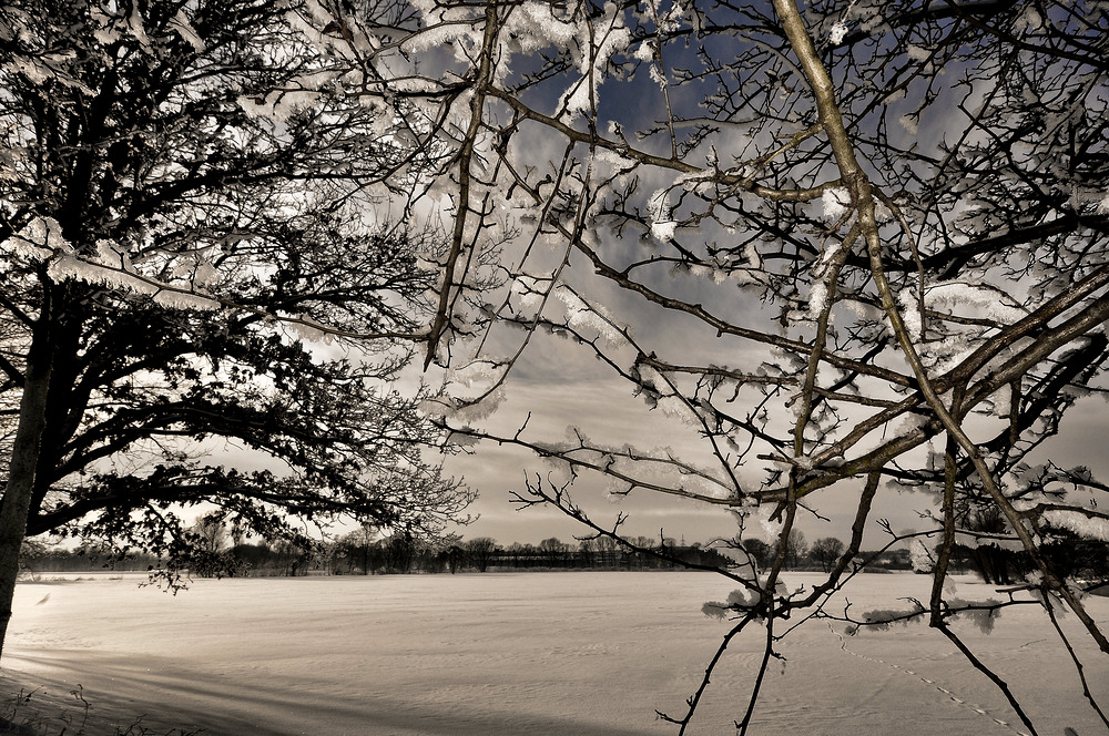 Bild Nr. 3~~~~~~~~~~~~~~~~~Winter am Stausee~~~~~~~~~~~~~~~~~~