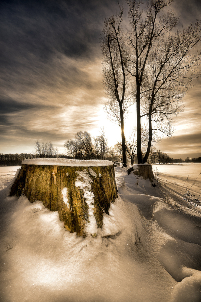 Bild Nr. 4~~~~~~~~~~~~~~~~~Winter am Stausee~~~~~~~~~~~~~~~~~~