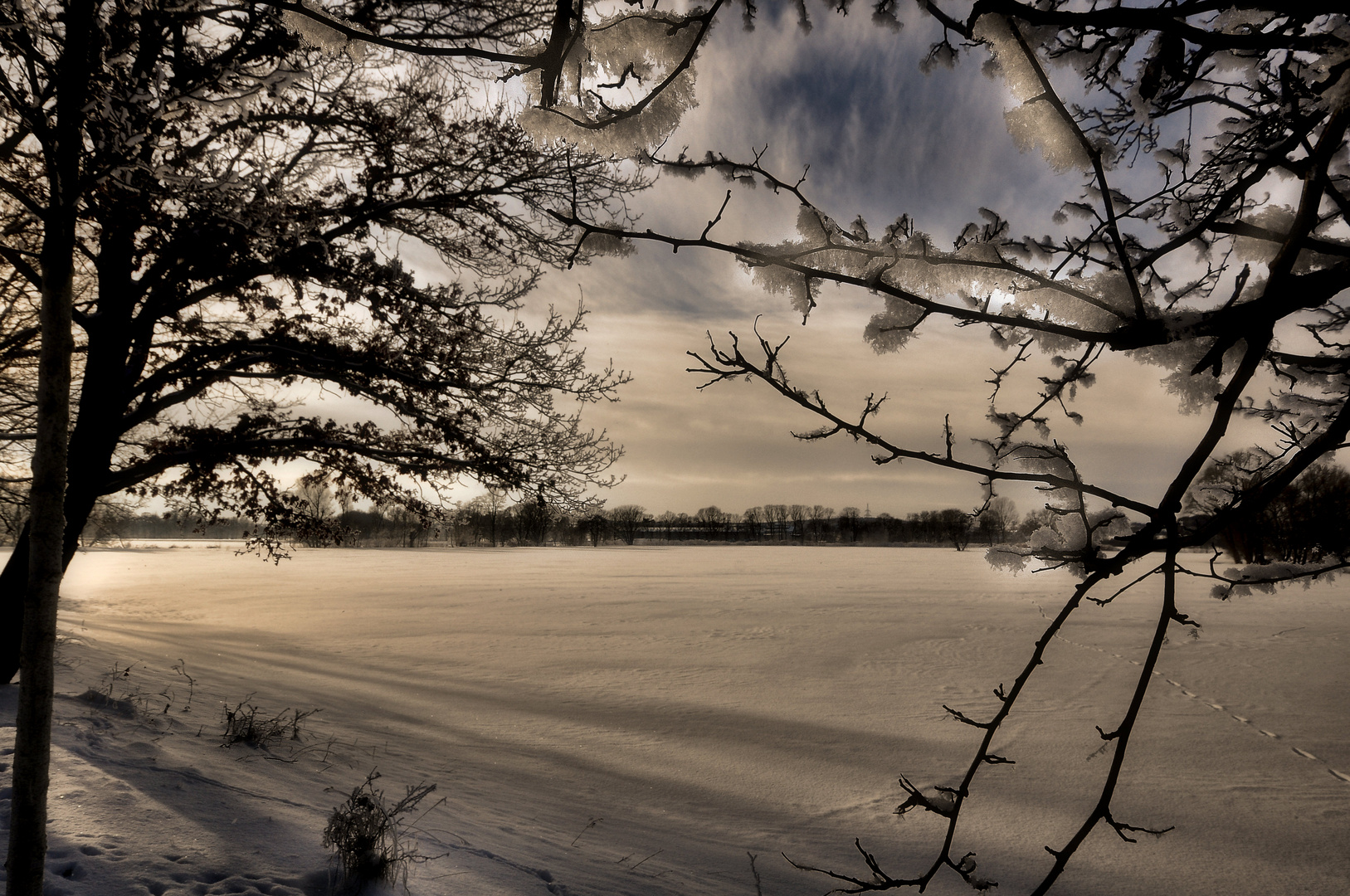 Bild Nr. 5~~~~~~~~~~~~~~~~~Winter am Stausee und Mulde~~~~~~~~~~~~~~~~~~