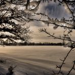 Bild Nr. 5~~~~~~~~~~~~~~~~~Winter am Stausee und Mulde~~~~~~~~~~~~~~~~~~