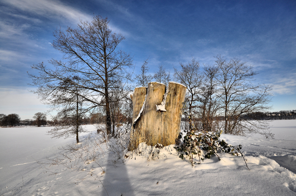 Bild Nr. 6~~~~~~~~~~~~~~~~~Winter am Stausee und Mulde~~~~~~~~~~~~~~~~~~