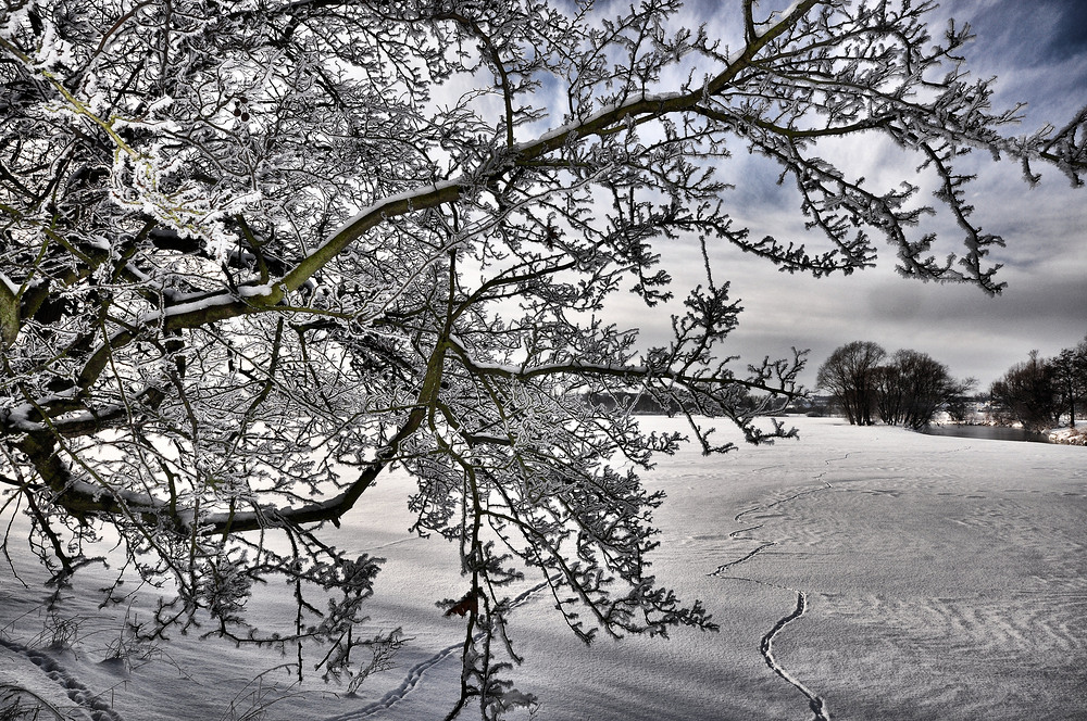 Bild Nr. 7~~~~~~~~~~~~~~~~~Winter am Stausee und Mulde~~~~~~~~~~~~~~~~~~