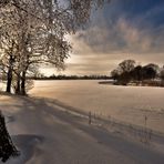 Bild Nr. 9~~~~~~~~~~~~~~~~~Winter am Stausee und Mulde~~~~~~~~~~~~~~~~~~