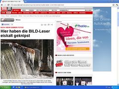 Bild Online 03.02.2012 II