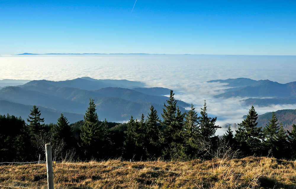 Bild Serie üb. den Belchen 1414 m.ü.M. Nr.4 Nov. 2012