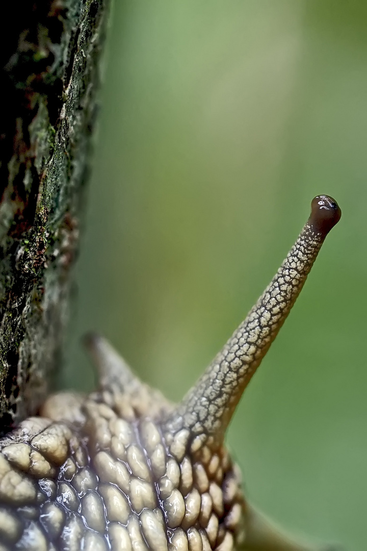 Bild von einem Augen-Blick!