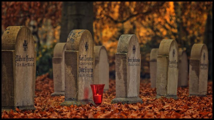 Bild zu Volkstrauertag