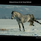 °°Bildausrichtung mit der Ronja Methode°°