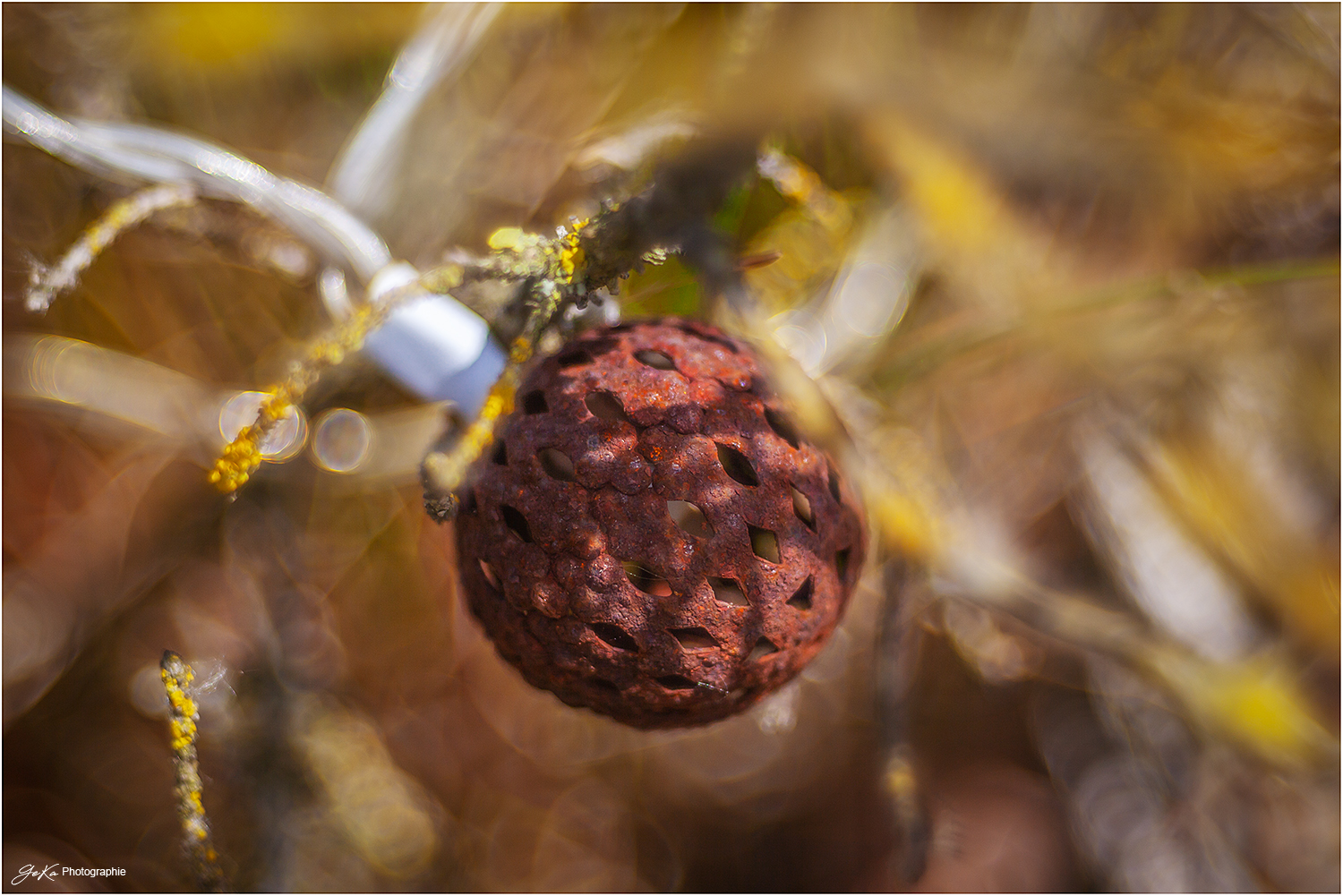 Bilder am Wegesrand - Lichterkette