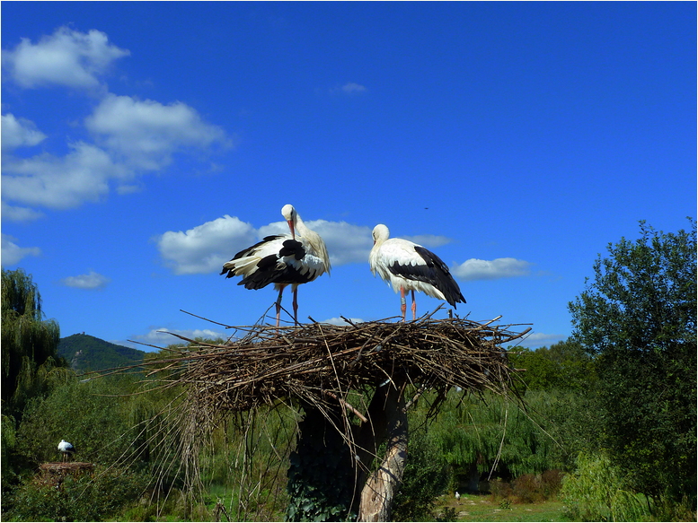 Bilder aus dem Elsass ***