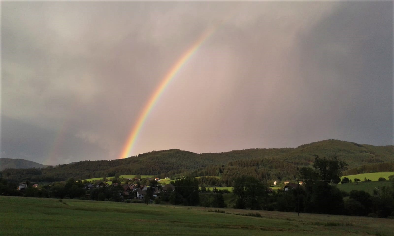 Bilder aus dem Schwarzwald