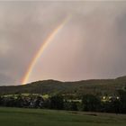 Bilder aus dem Schwarzwald