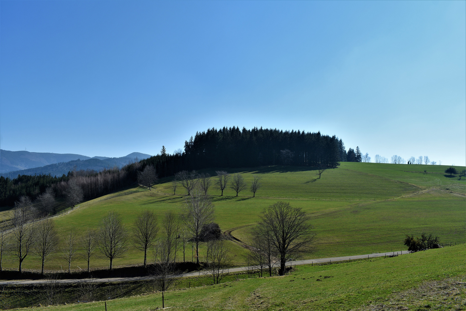 Bilder aus dem Schwarzwald 