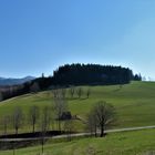 Bilder aus dem Schwarzwald 