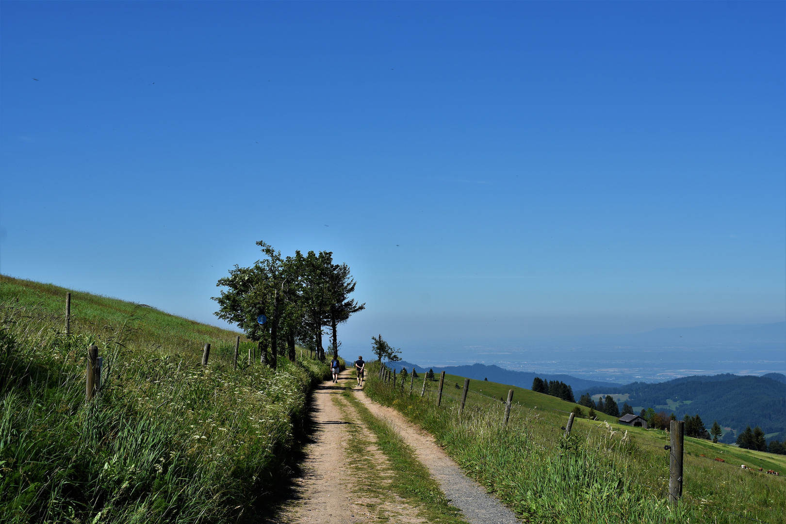 Bilder aus dem Schwarzwald