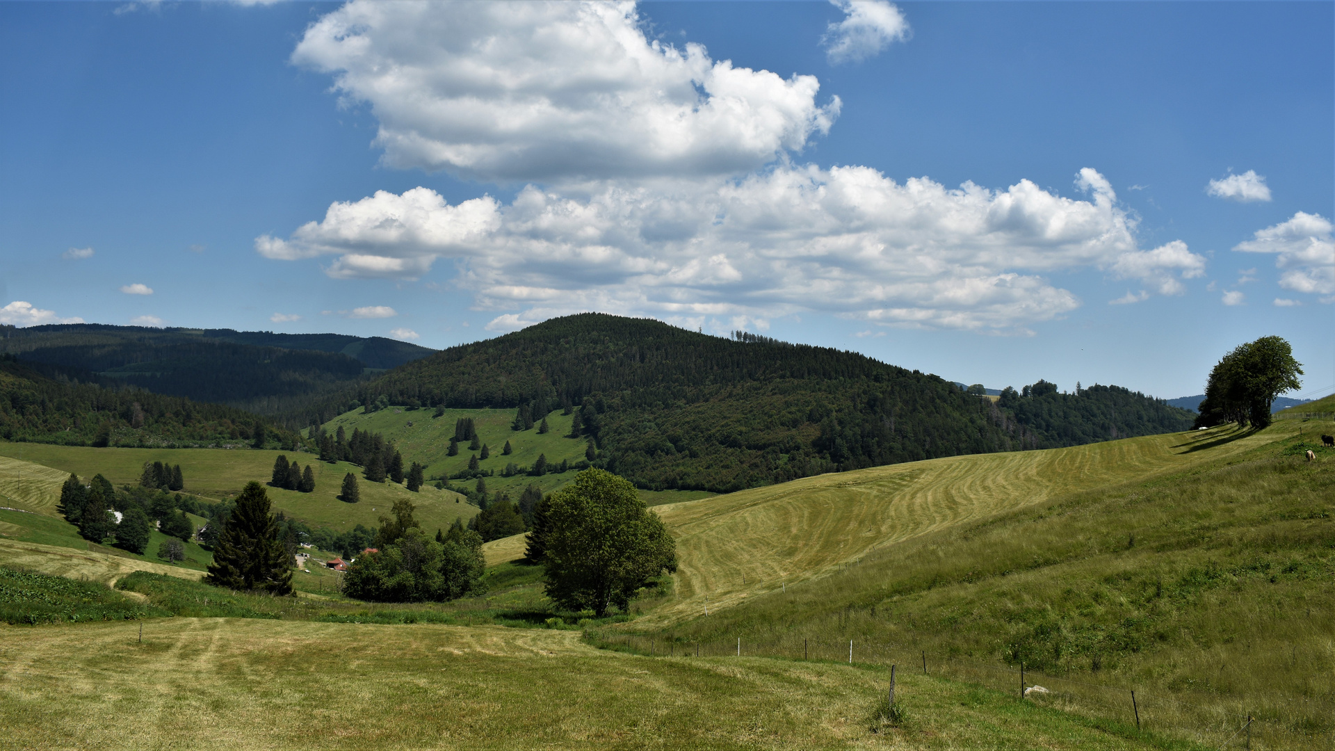 Bilder aus dem Schwarzwald 