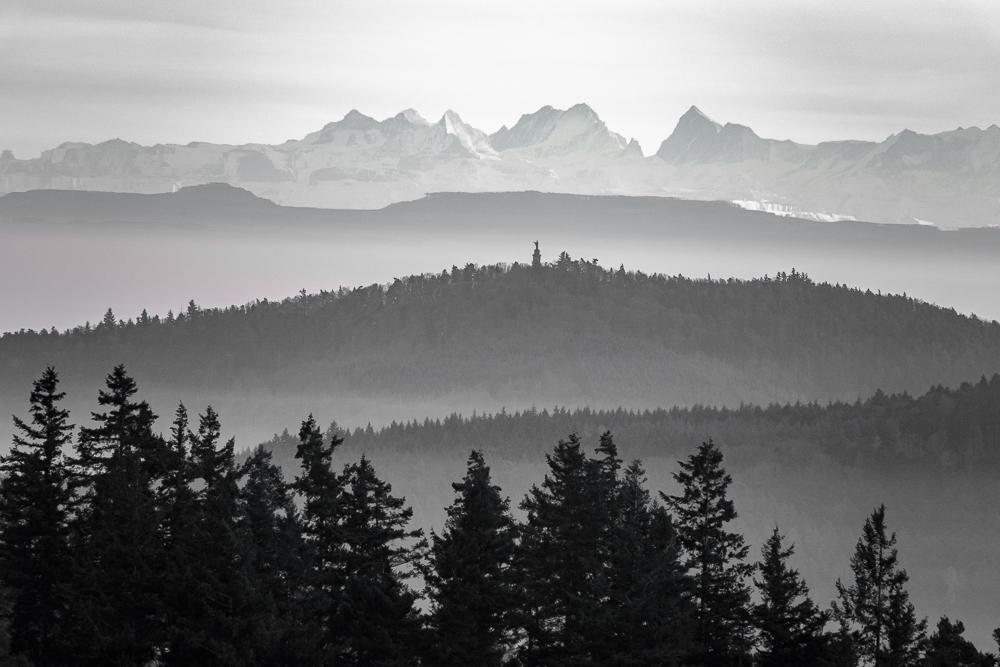 Bilder aus dem Wald 5b - Mit Fernsicht