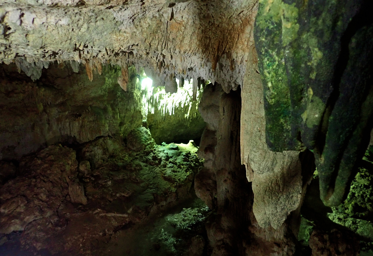 Bilder aus der Cenote bei Coba ...