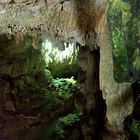 Bilder aus der Cenote bei Coba ...