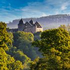 Bilder aus der Heimat - Sababurg, Naturpark Reinhardswald