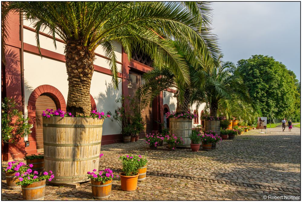 Bilder aus der Regio Basiliensis